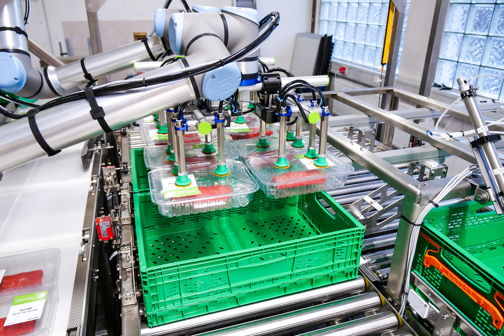 Each of the two grippers picks up four of the pre-packaged and labeled trays and places them in large transport boxes.