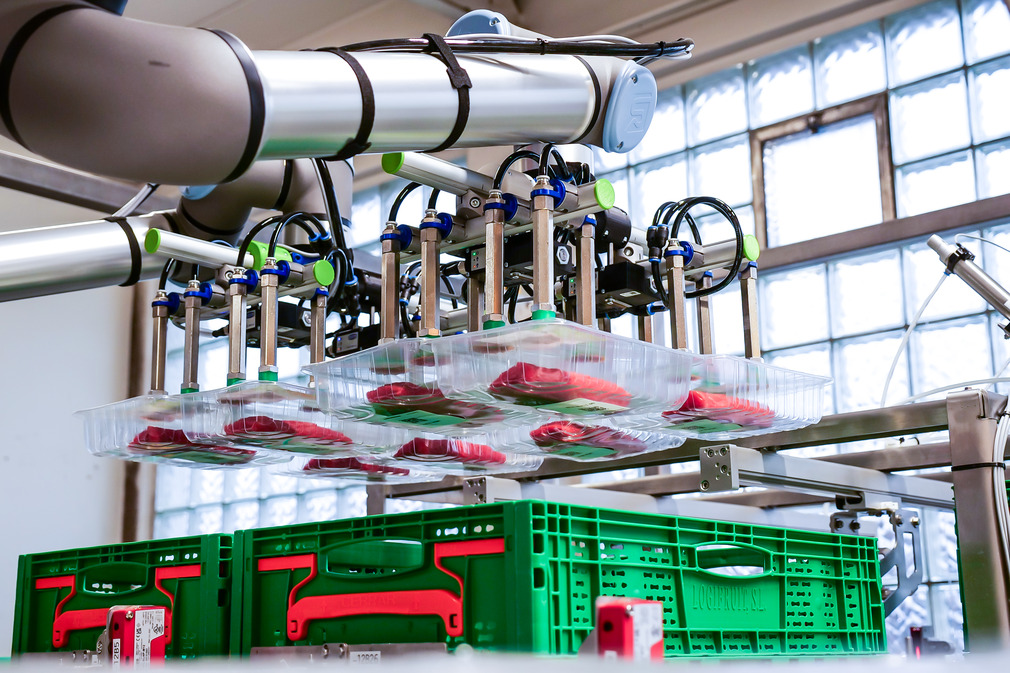 At the end-of-arm of two cobots, PXT grippers reliably pick up wrapped meat packs.