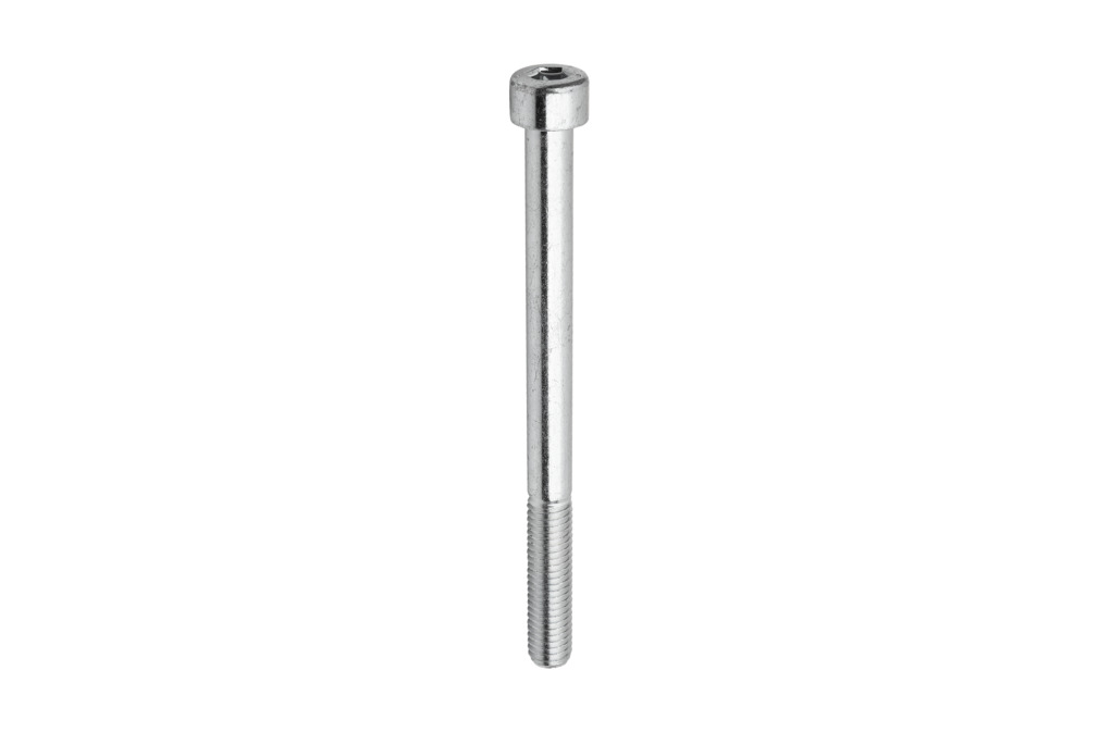 SCHR 4762 M8x100 ST-8.8 VZ
